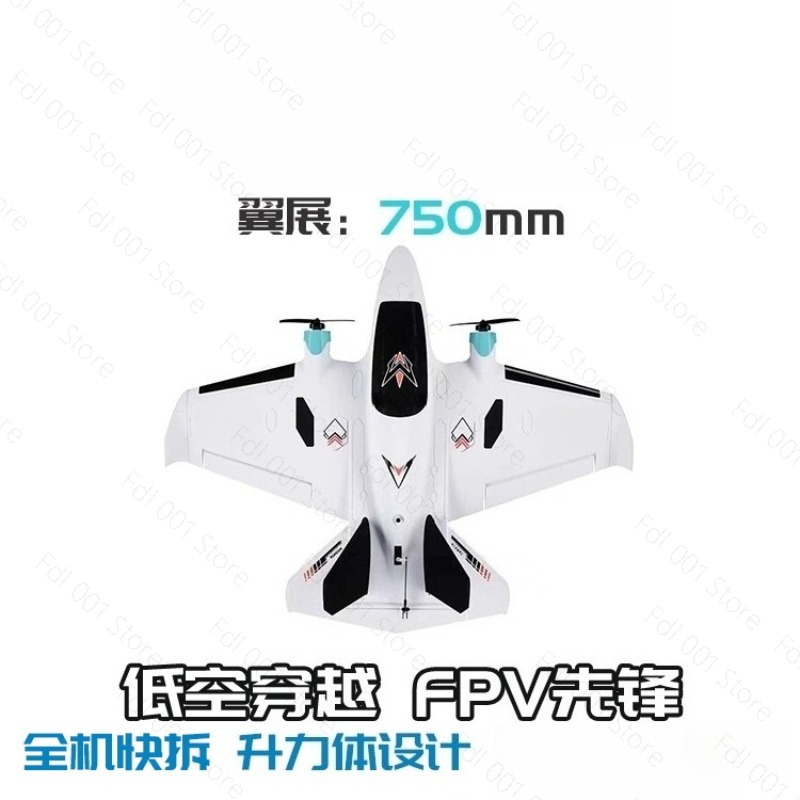 Dual Motor FPV vaste vleugel R - Rc Motor Drone recensie en prijs